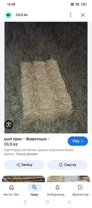 Техуши прес шоп 1200