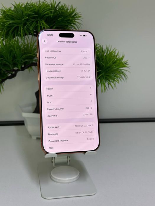 Iphone 17 pro max |256 gb| akb 100%|цп 110 | e-sim