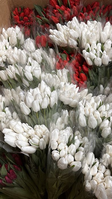 Тюльпаны и клубника в шоколаде