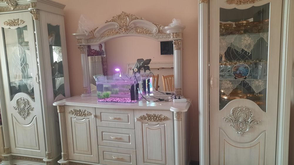 Kamod trimosi bilan sotiladi