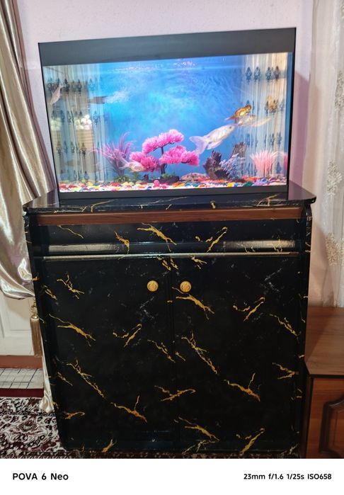 Akvarium Baliqlari sotiladi