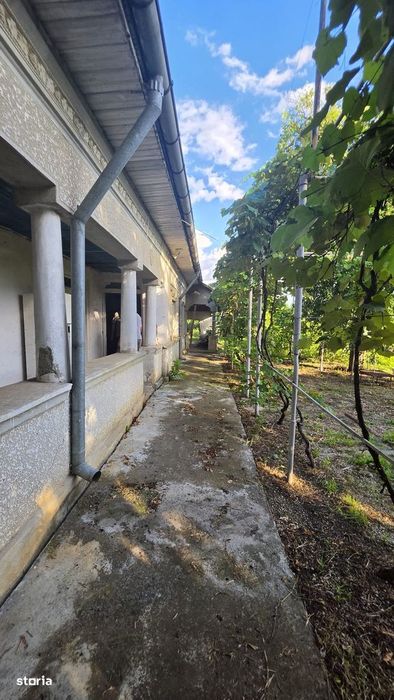Casă cu potențial, 4 camere, lângă pădure-Jud Giurgiu-Mihai Bravu.
