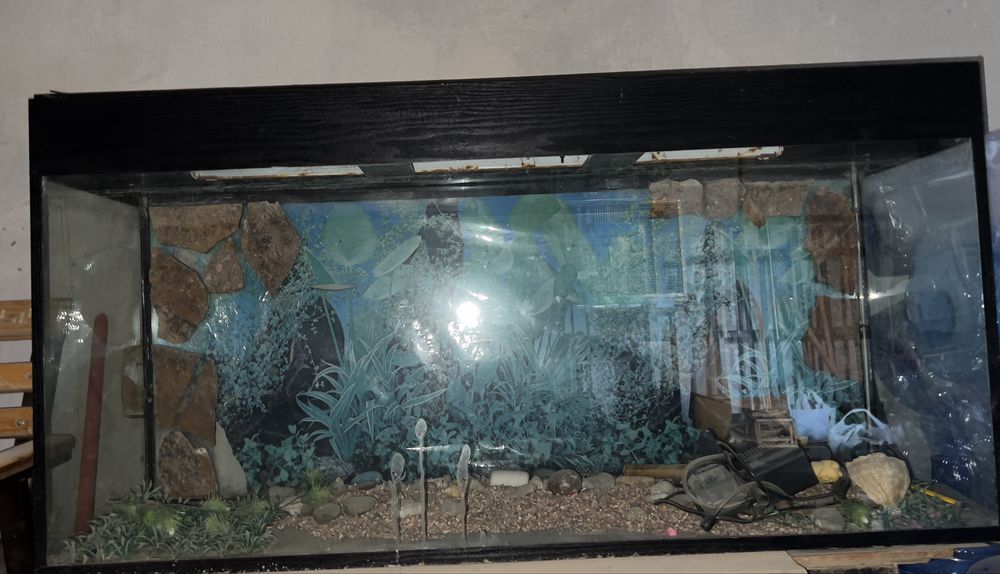 Akvarium sotladi