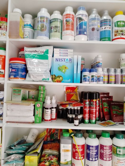 dezinfeksiya deratizasiya дезинфекции от насекомых