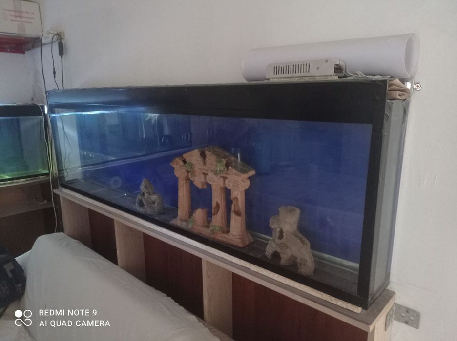 Акварум сотилади