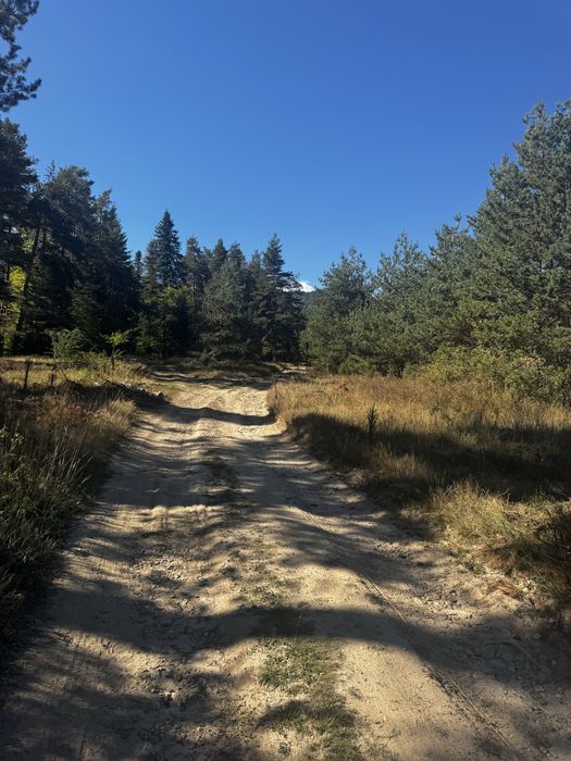 Парцел Цигов чарк 1250 Кв.м