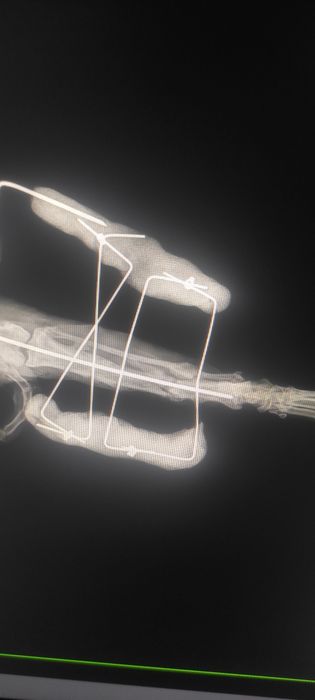 Врач с выездом на дом