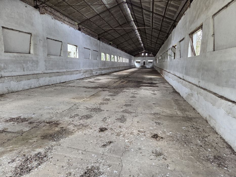 Inchiriez hale/depozite  industriale