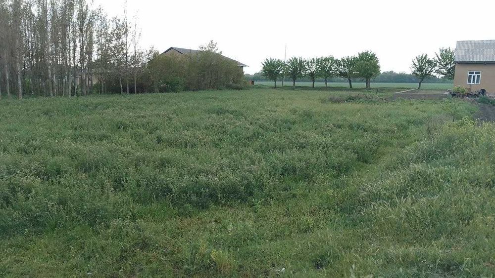 21 сотих ер сотилади газ бор.