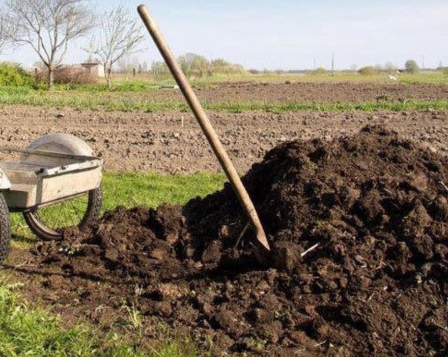 Compost din gunoi de grajd