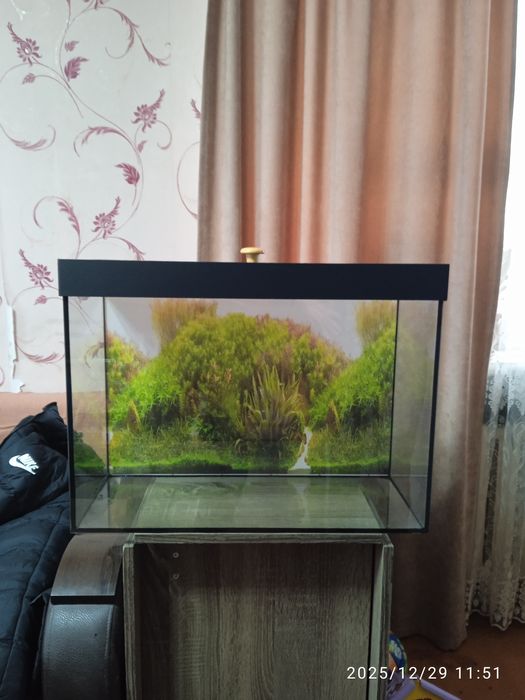 Аквариум 50-60литров