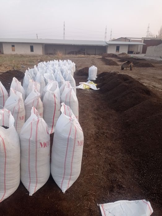 Biogomus chuvalchang