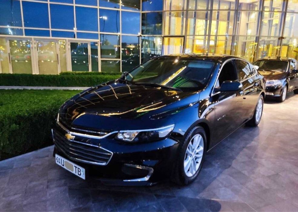 Экскурсия в горы по городам/Автомобилях Амирсой,Чимган,Хумсан и др