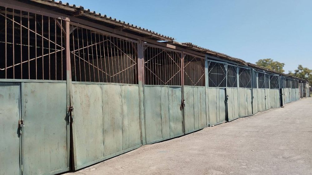 Продается 1 гектар от поста Эркин 24 км