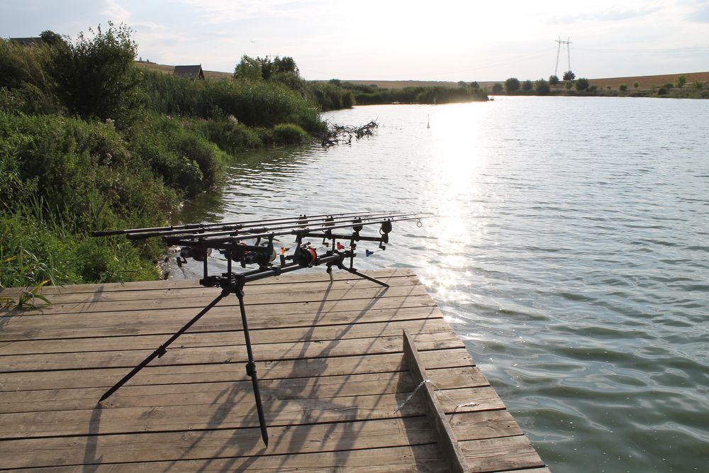 Vand Rod Pod Fox Ranger MK2 + buzz bari extended