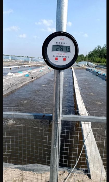 Цифровой термометр