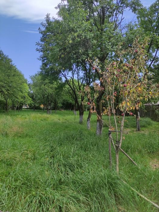 Casă de vânzare .