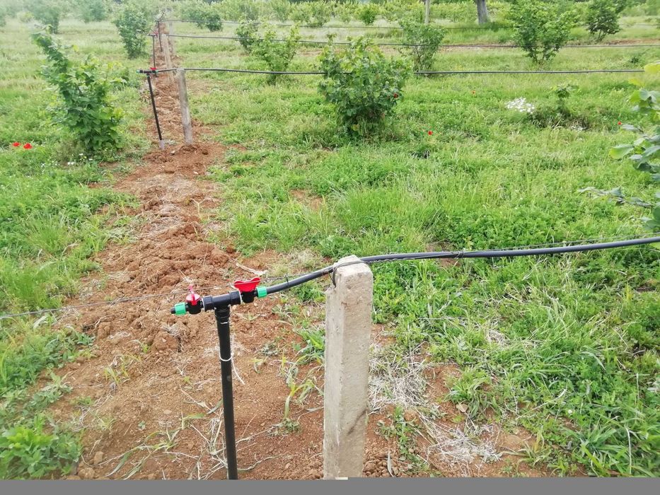 Продава се Парцел в Стара Загора, Казански - 22000 кв.м за 3 €/кв.м - Снимка #5