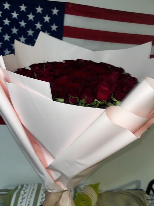 51 роза метровая