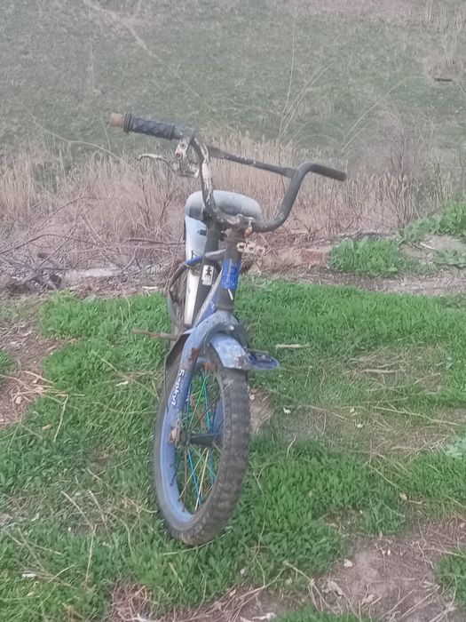 Велик детсикеййй