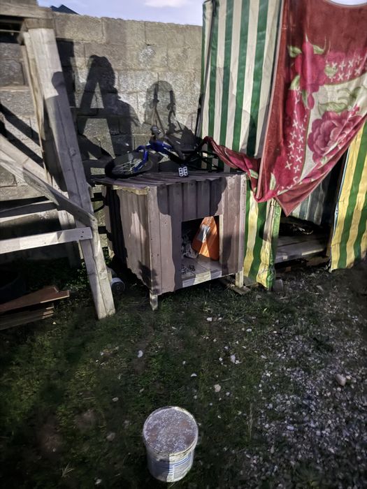 Иттің уйшігі сатлыды