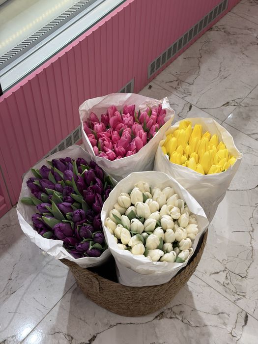 Тюльпаны Оптом по 500 тенге
