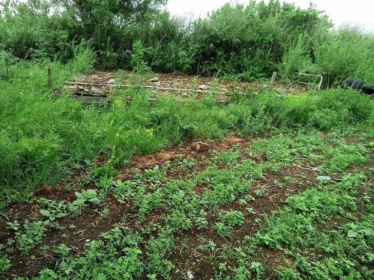 Продава се Парцел в с. Детелина, Област Варна - 828 кв.м за 20 €/кв.м - Снимка #2