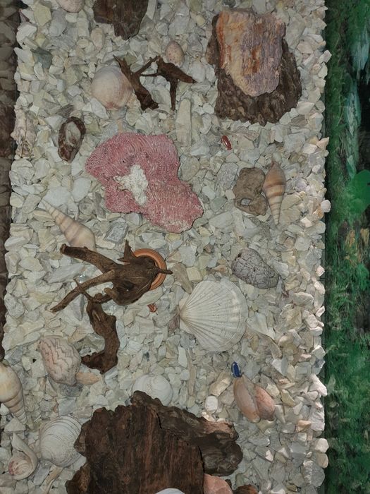 Аквариум с тумбой и фильтром