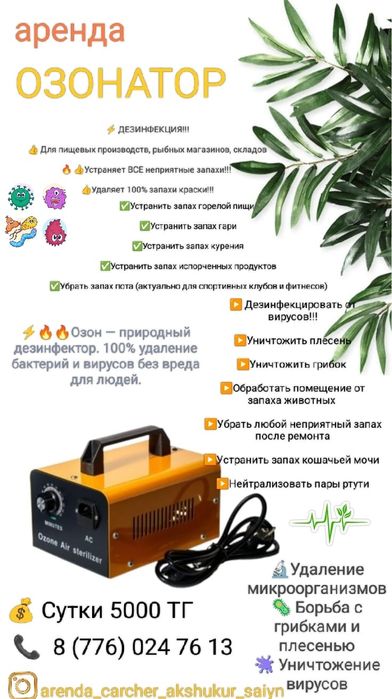 Моющий пылесос , пароочиститель Аренда