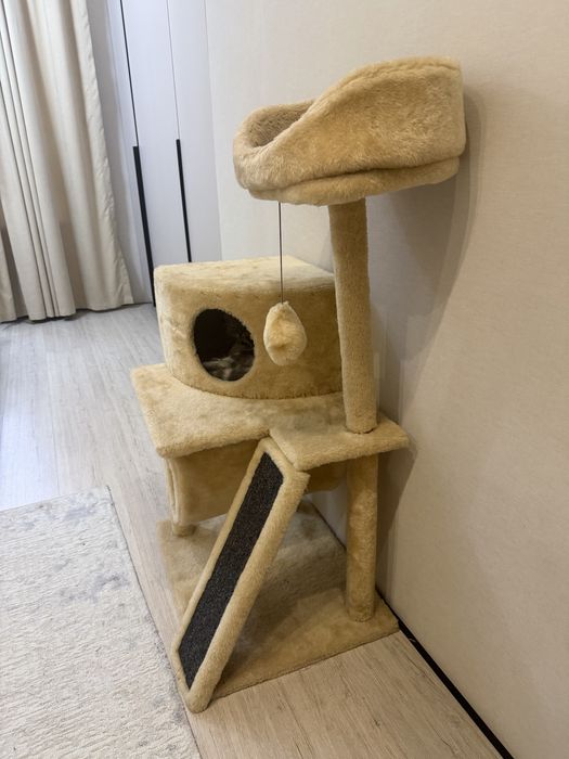 Кошачий большой дом