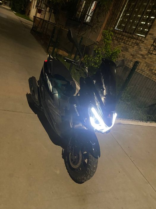 Tiger skuter sotiladi!