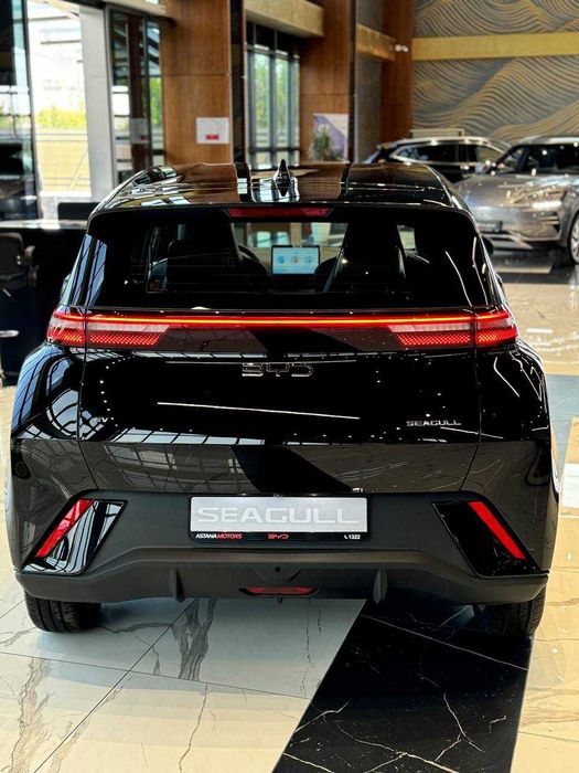 Seagull  405KM  FLYING 2024