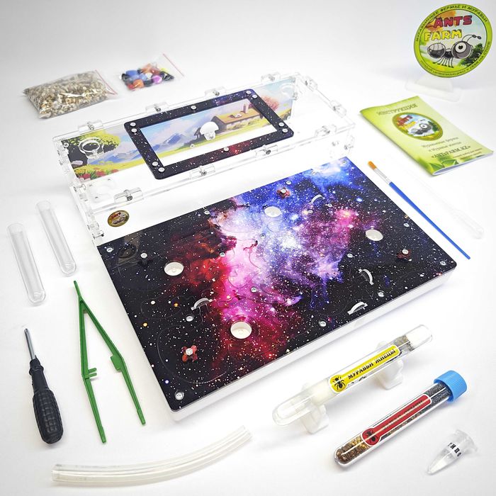 ГИПСО-Акриловый Формикарий "ACE" ||| Муравьиная ферма - Муравьи жнецы