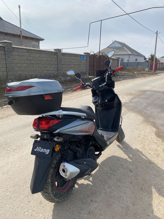 Самурай samurai 2024