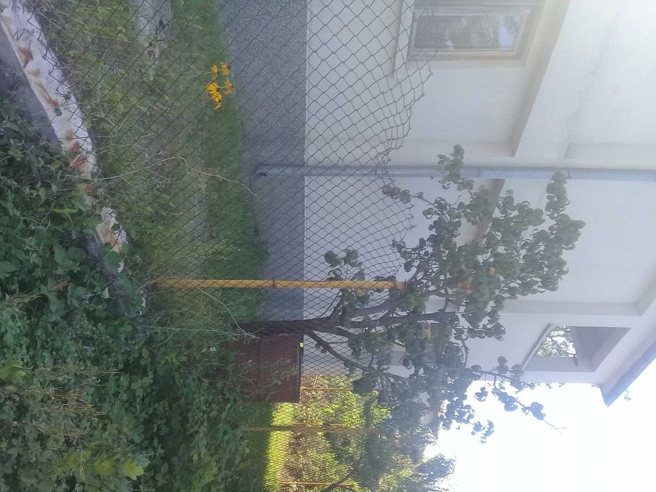 Тихо,спокойно място за живот и почивка сред природата