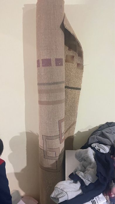 Диван,посуда кілем тегін бәрі