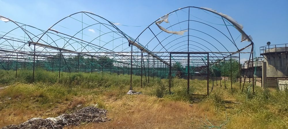 Иссикхона парник сотилади