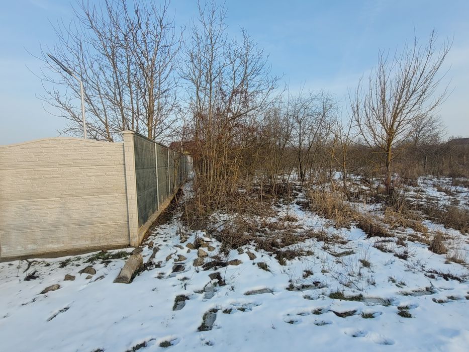 Vând teren intravilan  branesti islaz ilfov