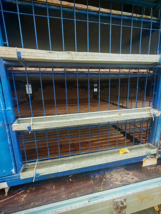 Autoutilitara de transport porumbei - doar Container , cusca porumbei