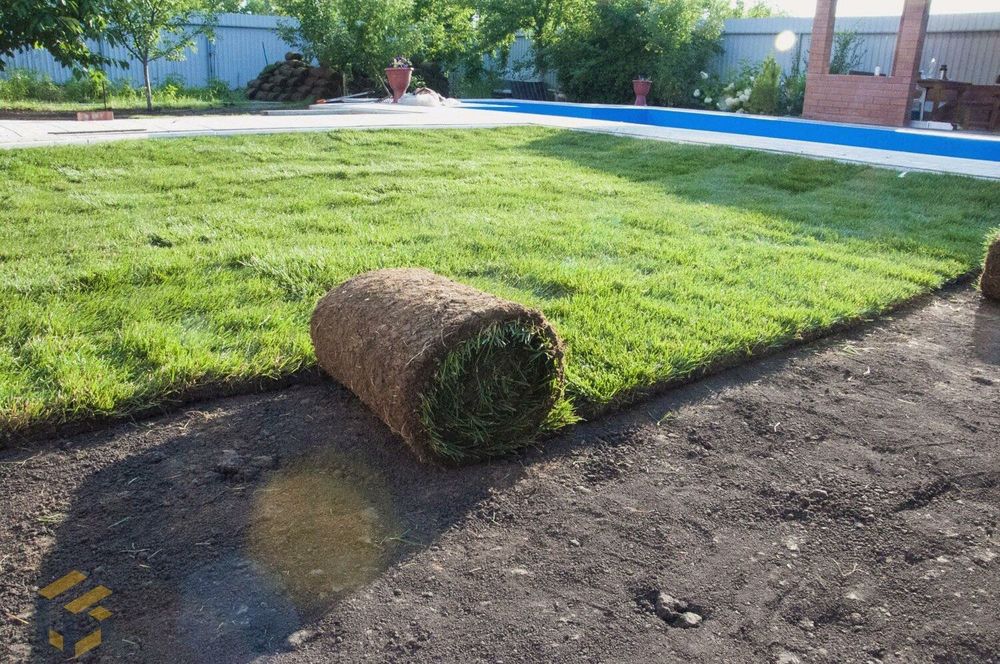 Газон семена и рулон под ключ