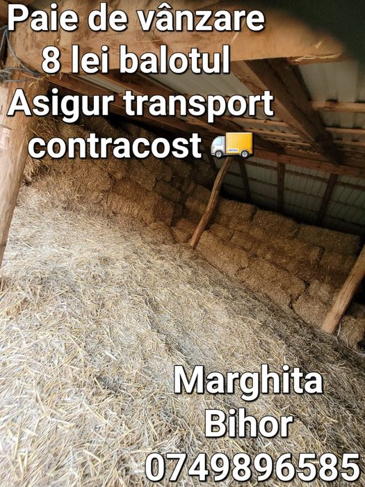 Paie de vânzare !