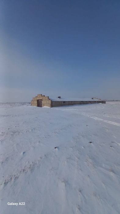 Продам крестьянское хозяйство