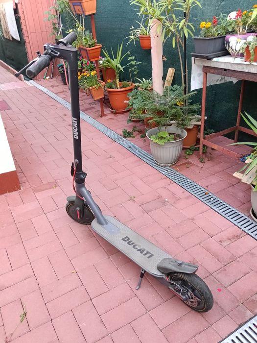 Trotineta Ducati