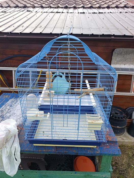 Cușca mare păsări