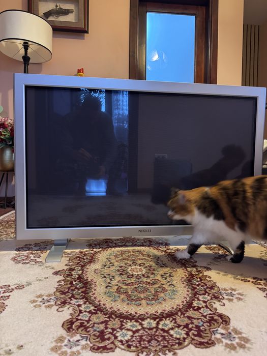 Televizor diagonala de 108 cm