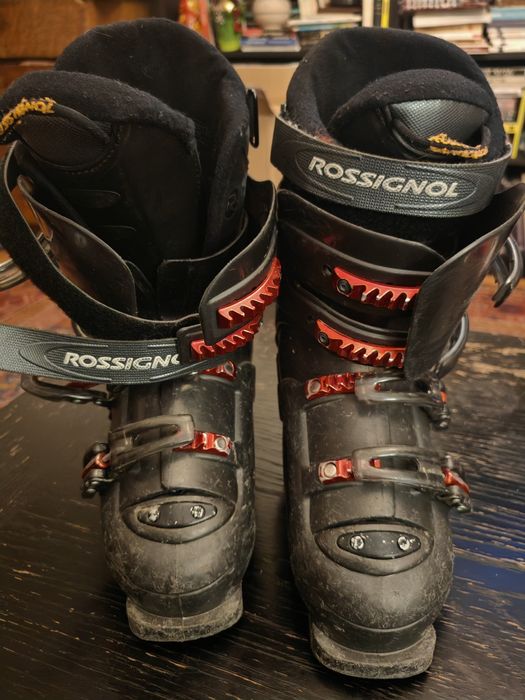 Clăpari femei sau copii Dalbello  38,5