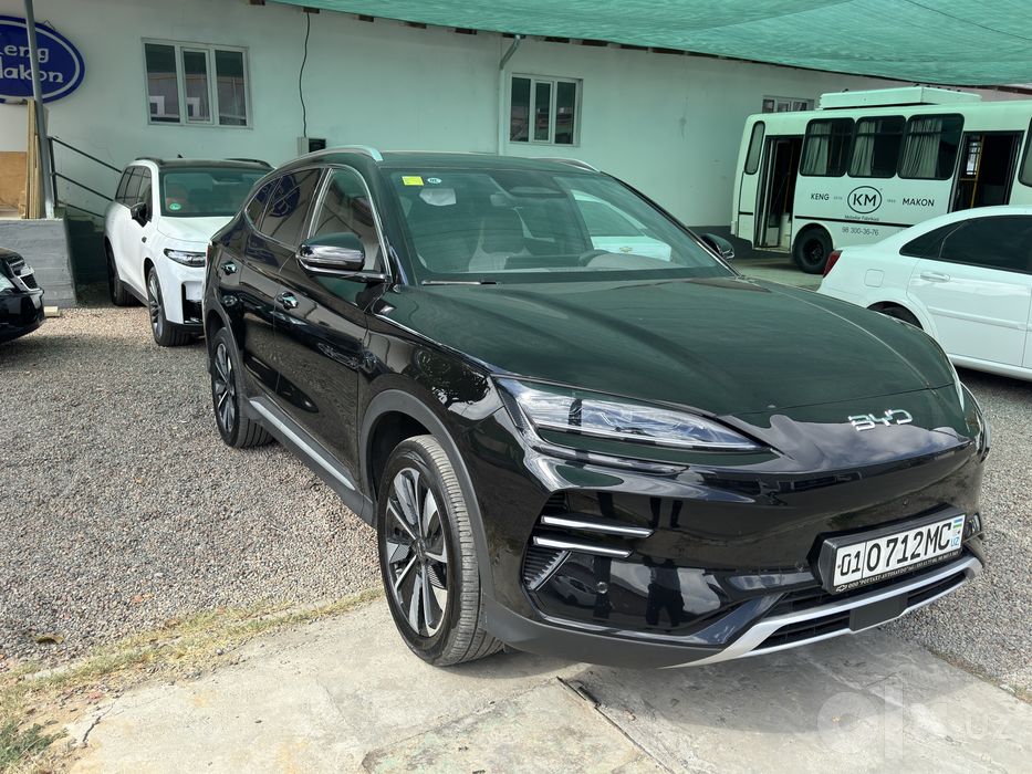 Byd Champion smart