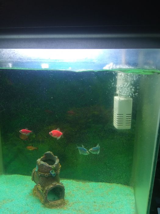 Продам аквариум на 40 л