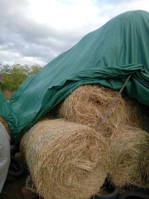 Vand baloti de lucerna