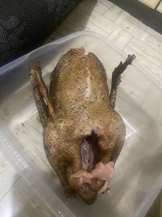 Сойылған қаз еті бар